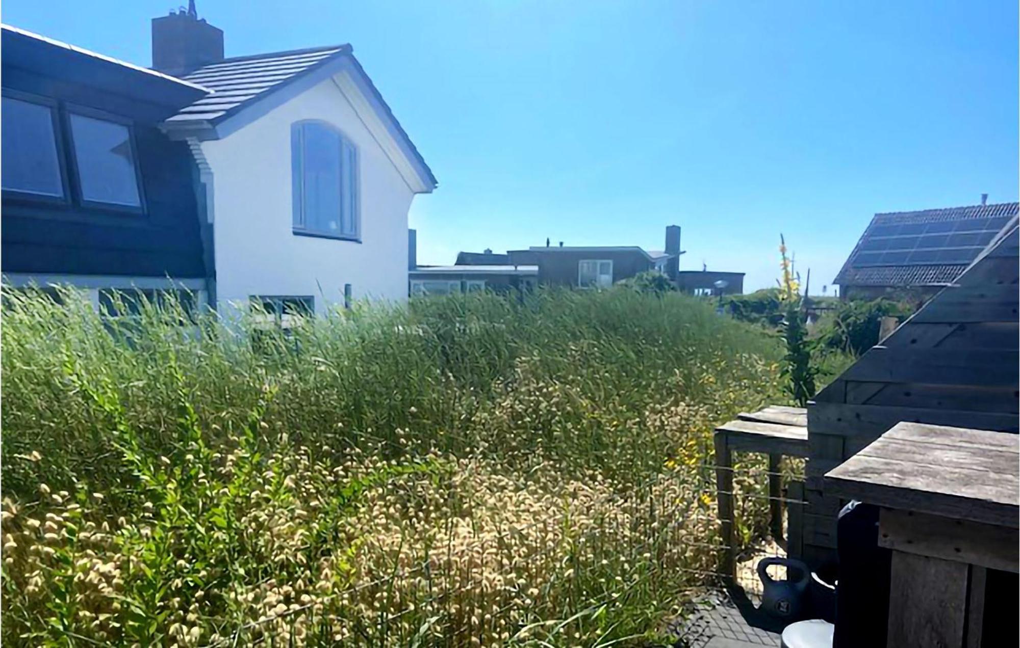Amazing apartment in Bergen aan Zee with WiFi&1 Bedrooms Buitenkant foto